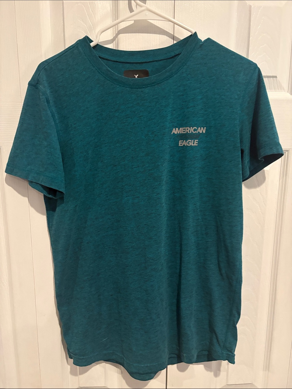 American Eagle Outfitters Teal Crewneck Graphic Tee - Men's